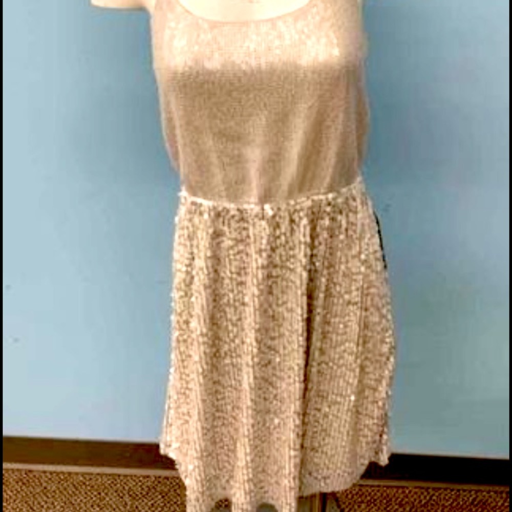 NWT Express Sequin Tank Top Dress Size Small.